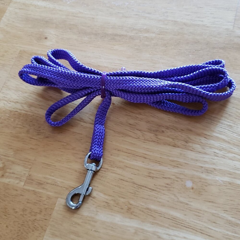 NWOT Purple 5Ft. Leash.
